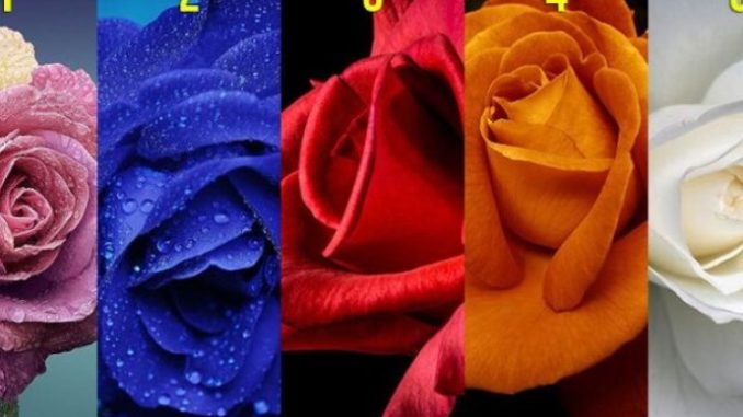 654f7211-cacc-4d59-973b-99190a0a0a69-ruze-test-830x0-1-750x430-690x480-1