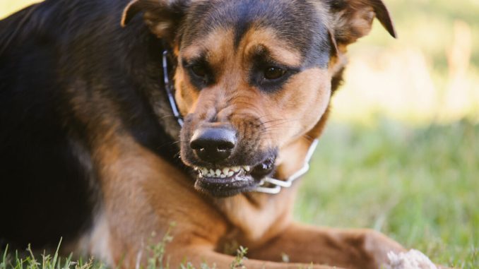 196955_shutterstock-267365081_share