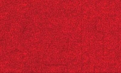 350289575_599281742176702_2930924133222807188_n-400x242-1