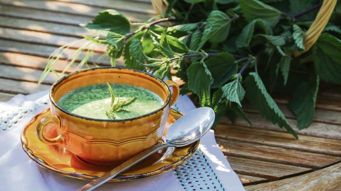 352602_stockphotosoupofyoungnettlehealthyfood2004831647_share