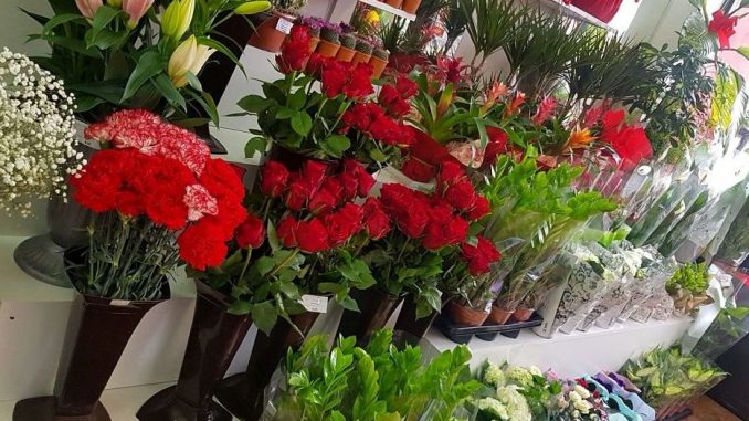 jednu-vrstu-cvijeca-nikako-nemojte-poklanjati-zenama-za-8-mart-donosi-samo-tugu-i-nesrecu