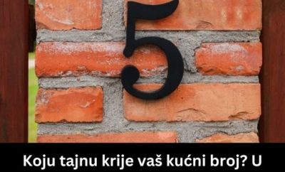 436497738_832283385606403_3648394058217485306_n-400x242-1